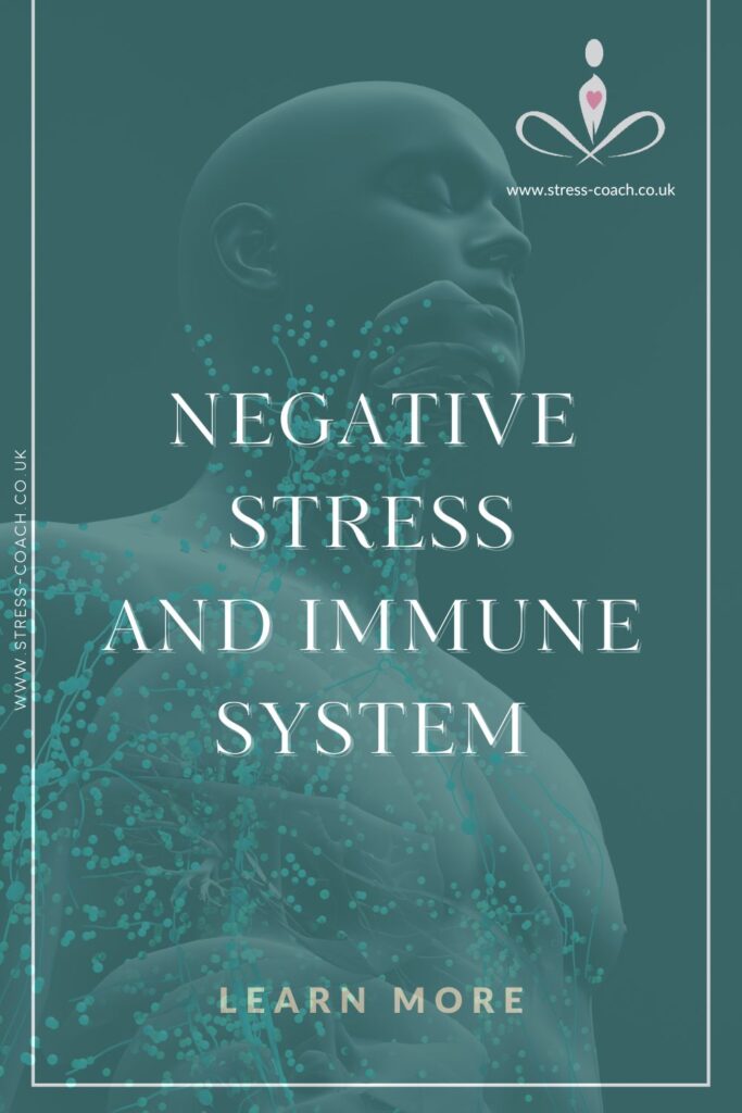 Stress and The Immune System