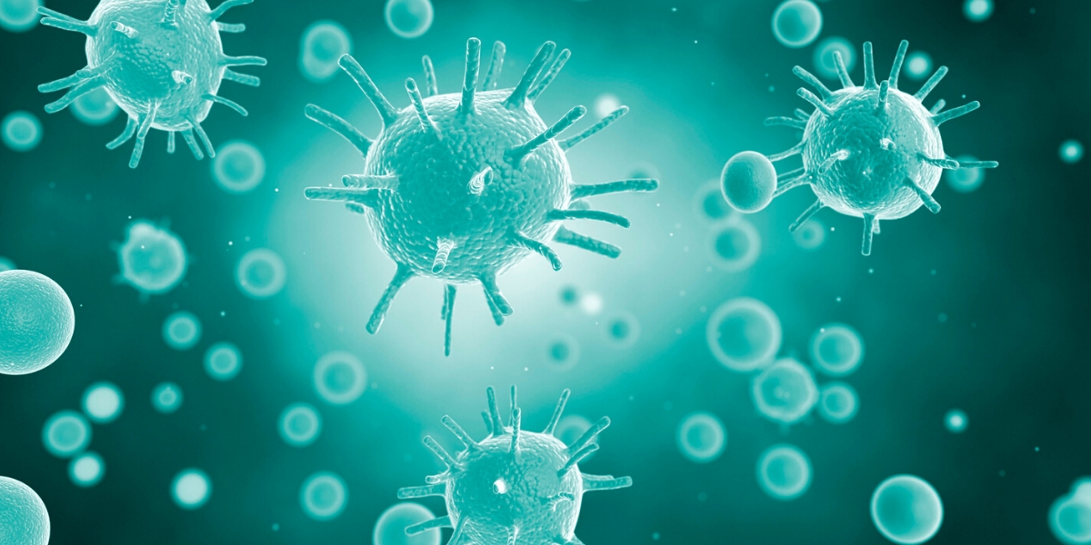 stress damage to immune system stressors coronavirus