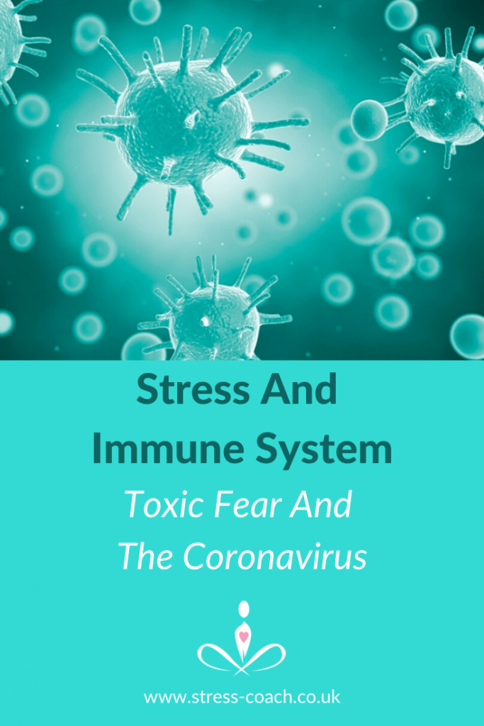 what stress does to the immune system