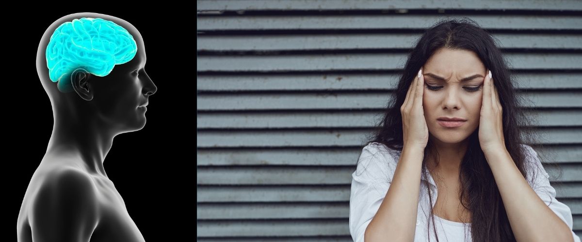 Neurotoxicity, Stress On The Central Nervous System - The most common disablities and symptoms of Neurotoxins found in food, products and medical procedures - Stress Management Training School - Stress Coach Training