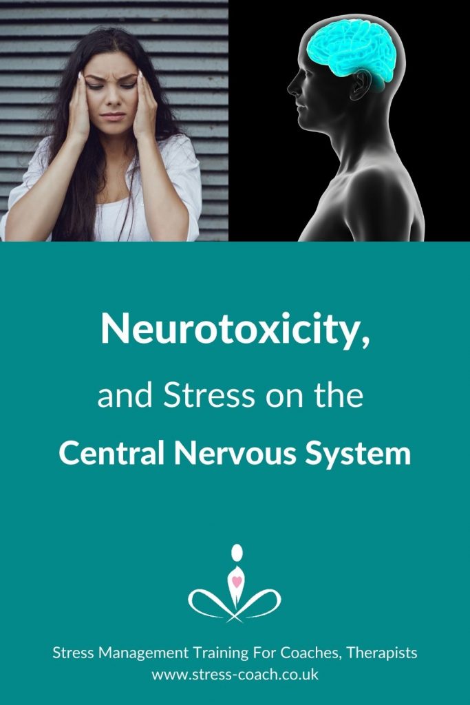 Neurotoxicity, Stress on the  Central Nervous System