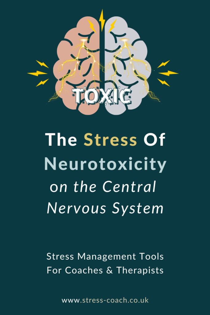 The Stress Of Neurotoxicity On The CNS