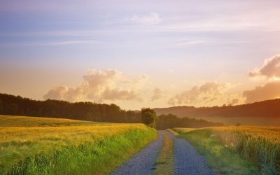 Life Lessons From The Road Less Travelled