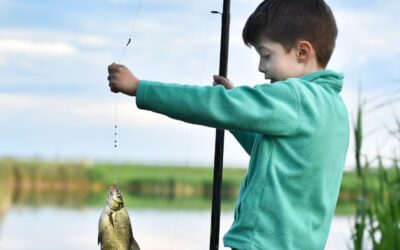 Emotional Resilience – Giving Clients The Fishing Rod Not The Fish