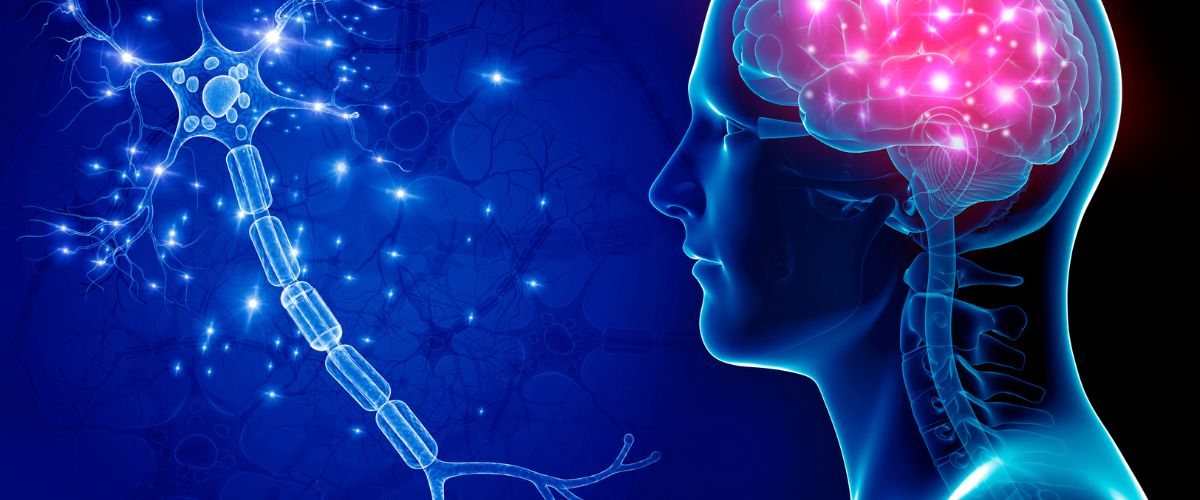 Safe Vagus Nerve Stimulation Techniques