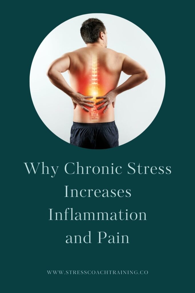 Why Chronic Stress Increases Inflammation And Pain Issues. Why managing your stress can help reduce inflammatory levels in many cases