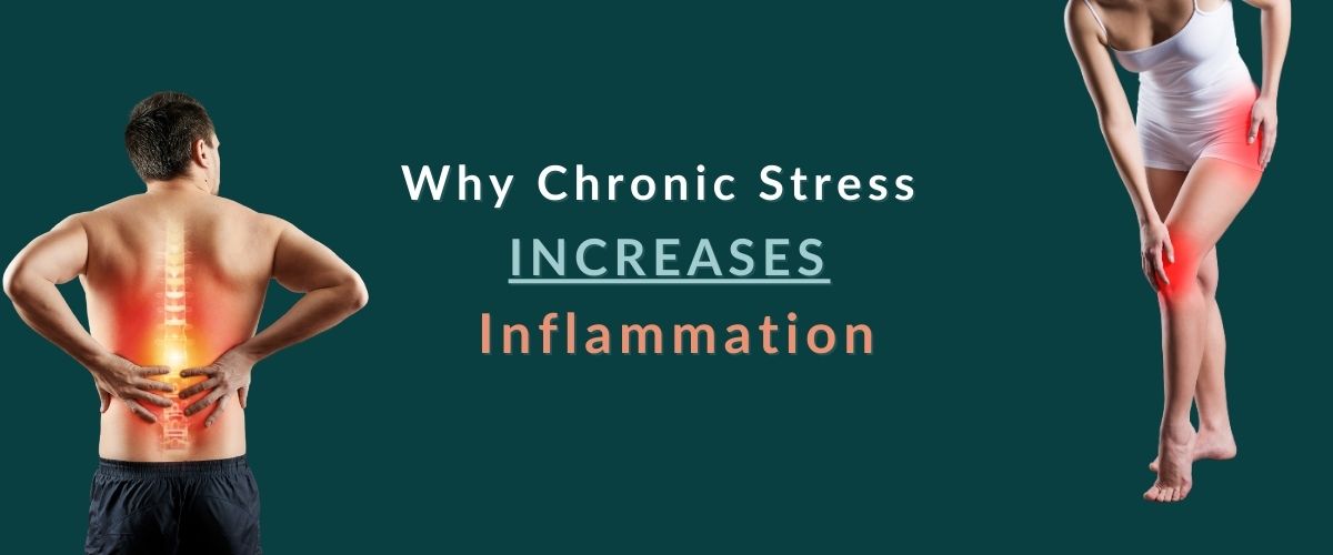 Why Chronic Stress Increases Inflammation, Pain And Disease